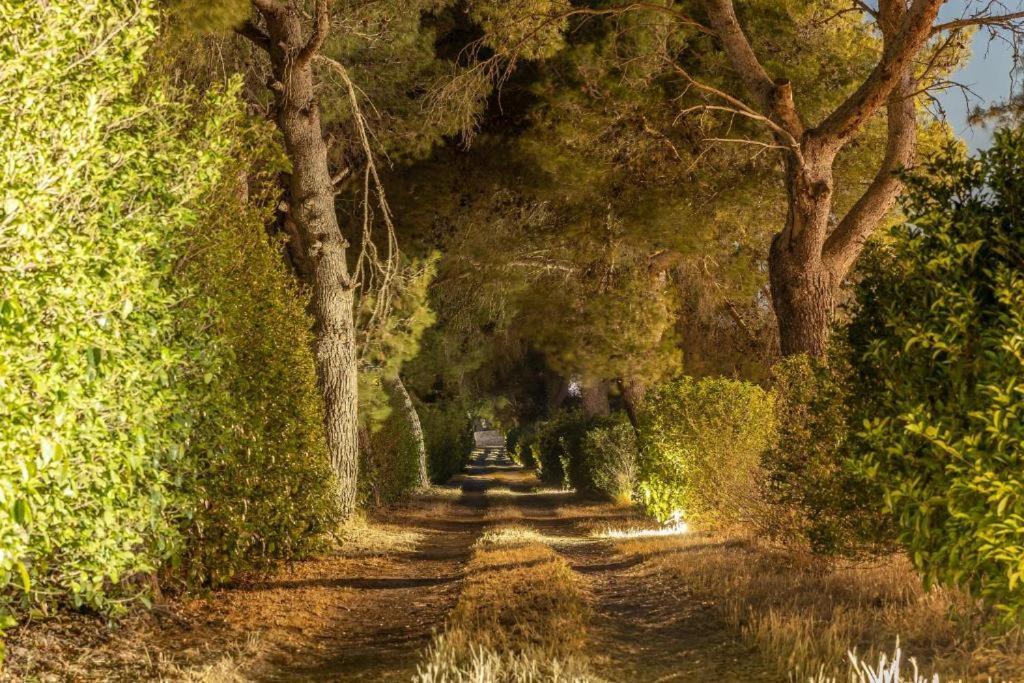 Villa Salento เลชเช ภายนอก รูปภาพ